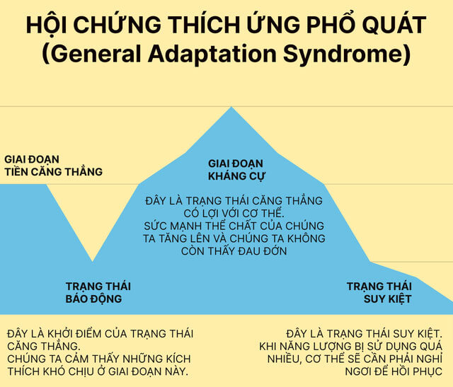 Đâu mới là giới hạn thực sự của thể chất con người - Ảnh 7